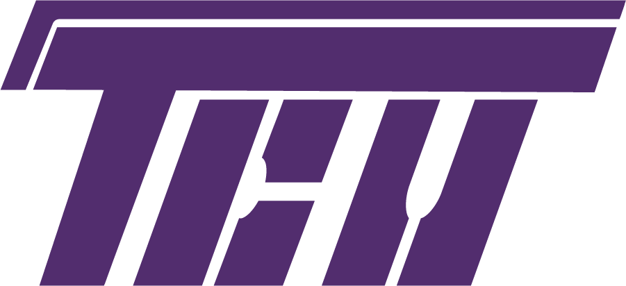 TCU Horned Frogs 1977-1994 Primary Logo DIY iron on transfer (heat transfer)